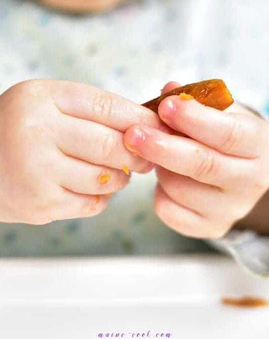 pieczone frytki warzywne dla dzieci (rozszerzanie diety) baked veggie fries for babys (complementary feeding)