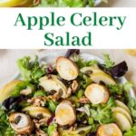 Apple celery salad pinnable image.