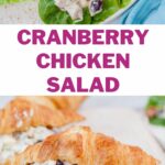 Cranberry chicken salad pinnable image.
