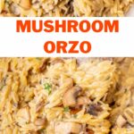 Mushroom orzo pinnable image.